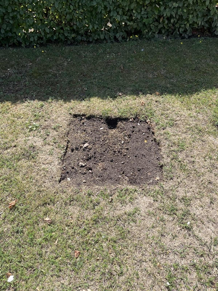 Grave number: NK I:U    17