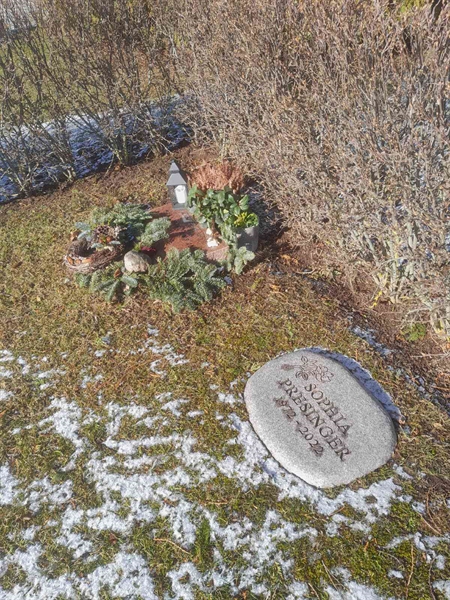 Grave number: NY J7    49
