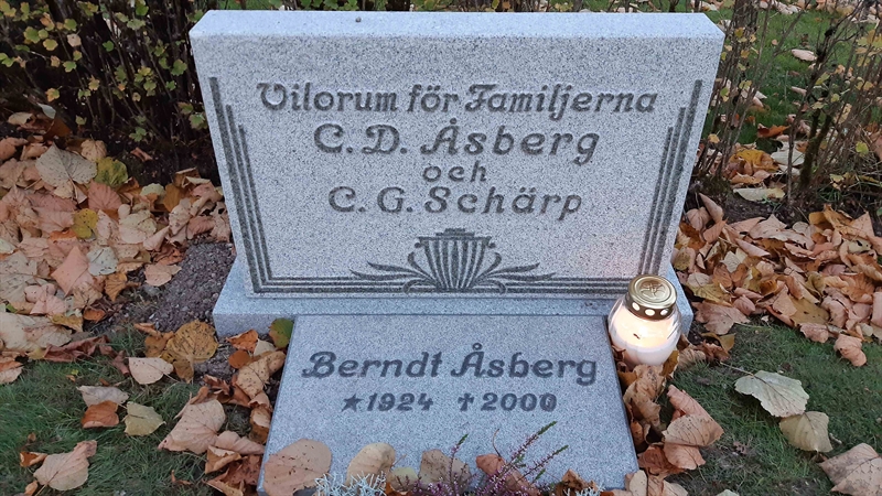 Grave number: 1 C   119B