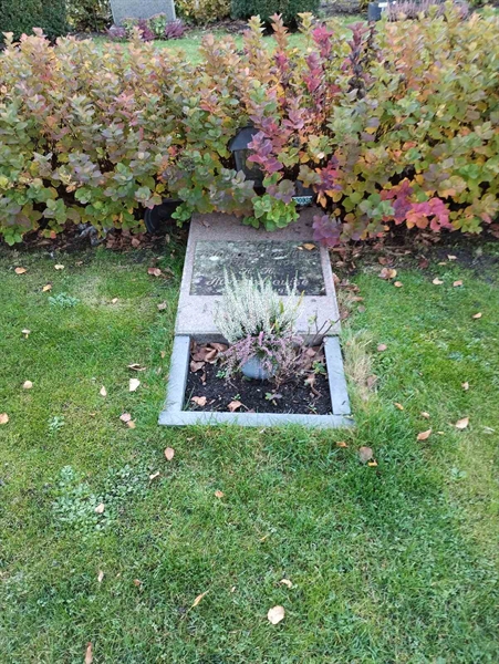 Grave number: Ö 30i     8, 9