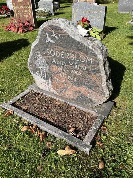 Grave number: 30ST TALL    35
