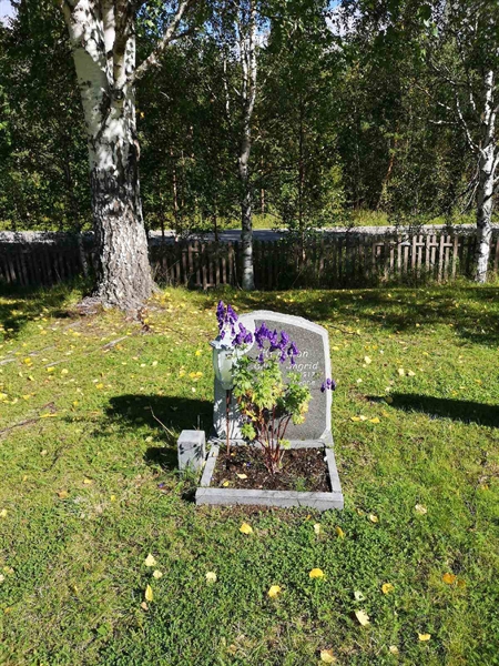 Hautatunnus: NK 19     6-7