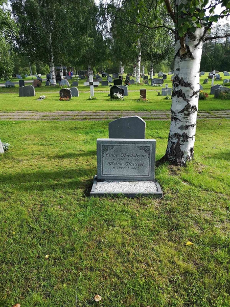 Hautatunnus: NK 17    44