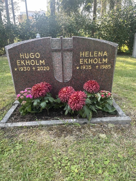 Hautatunnus: 1 B1    42-43