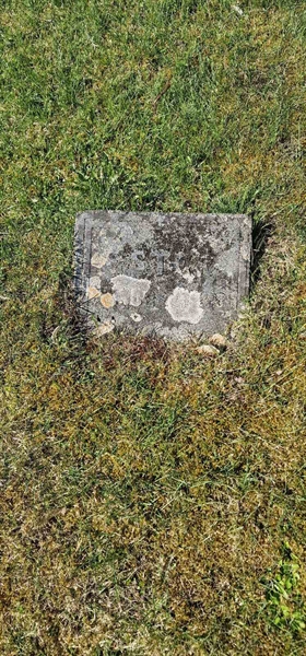 Hautatunnus: F V C 275