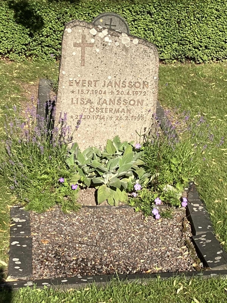 Grave number: 1 03    29