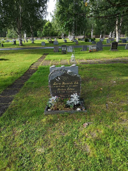 Hautatunnus: NK 17    49