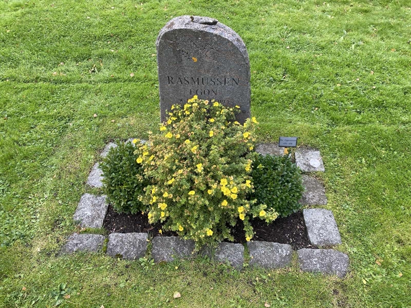 Hautatunnus: 2 C   415-416