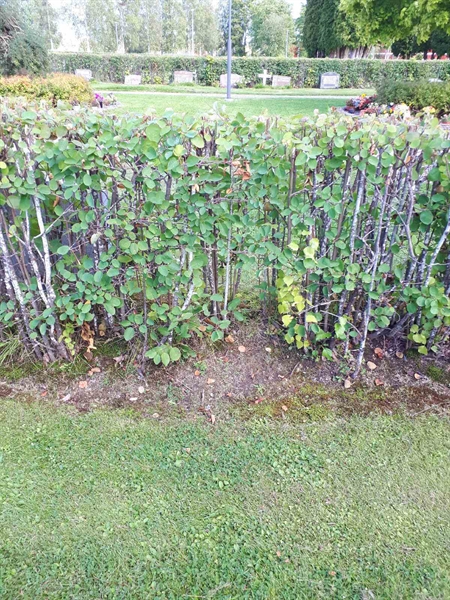 Grave number: NK F A   132