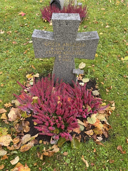 Hautatunnus: 1 H   228