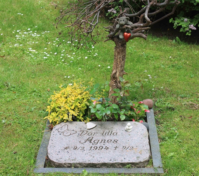 Grave number: Ö 45   154