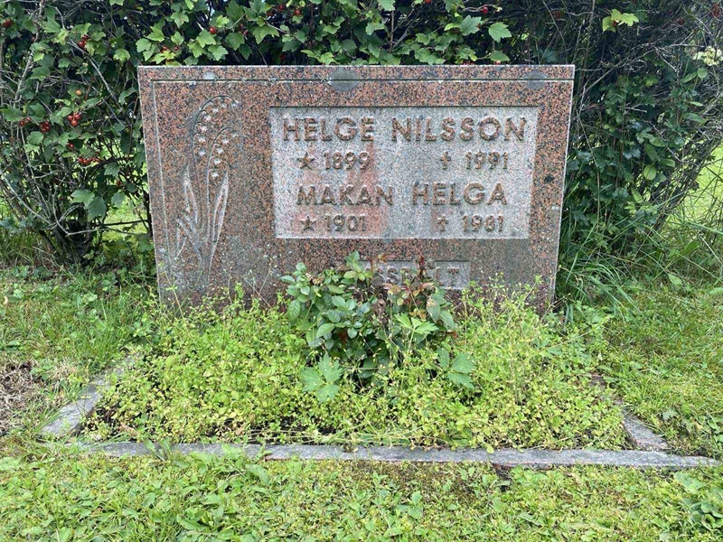 Grave number: 3 13   163