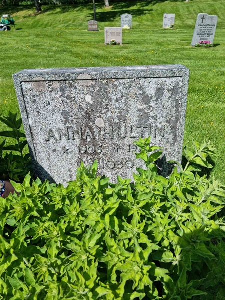 Grave number: D N 2   437