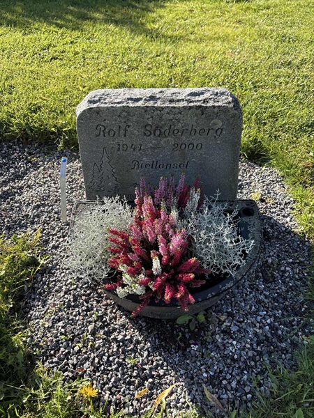 Grave number: 4 N NC    76