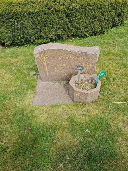 Grave number: SN 03   218
