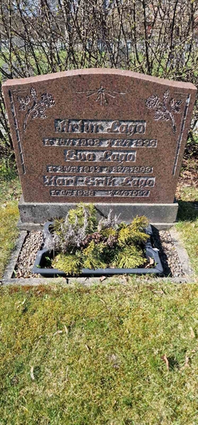 Grave number: F V C    31-32