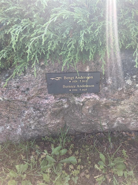 Grave number: TN AL 4    72