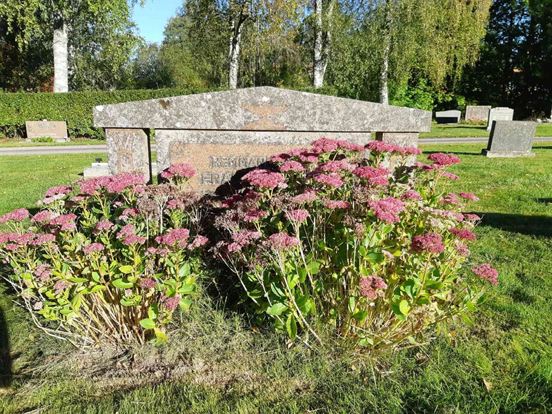 Hautatunnus: Fr 7   240-241