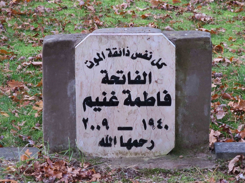 Grave number: HNB VII   116