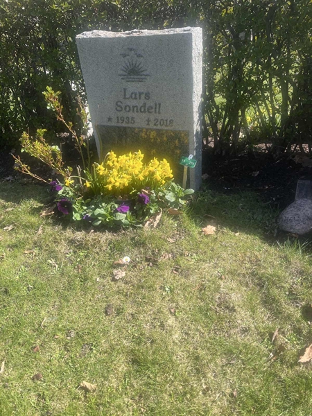 Grave number: 1 3 F1 228