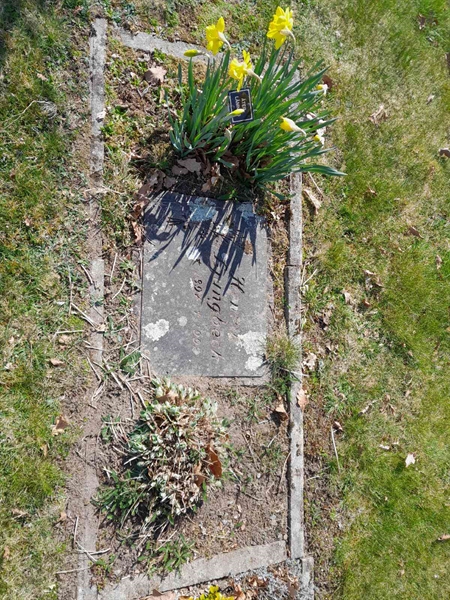 Grave number: 20 N 210