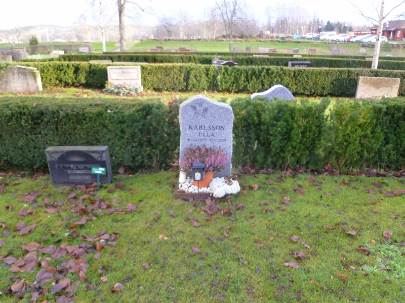 Grave number: ROG D    6A