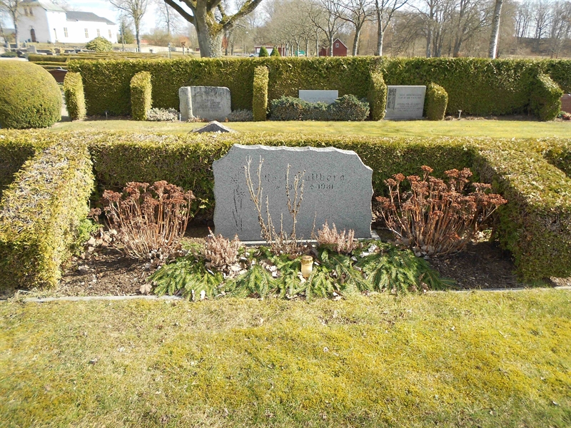 Grave number: V 36   208
