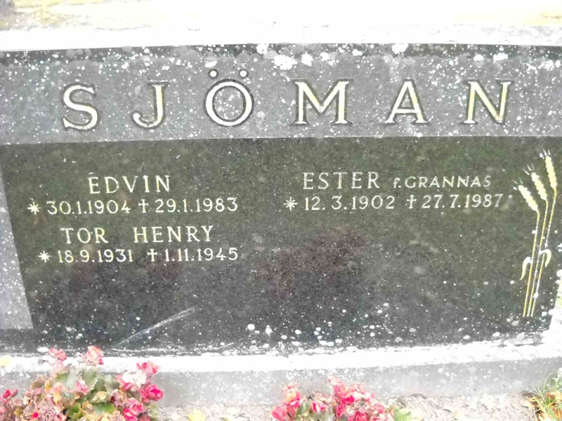 Grave number: 3 MB 11 12, 15