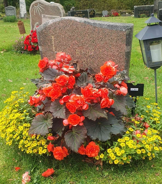 Hautatunnus: 1 I    10-11