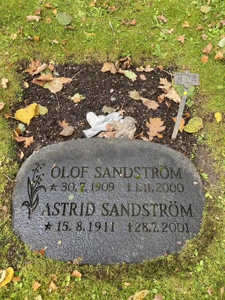 Hautatunnus: 1 H    74