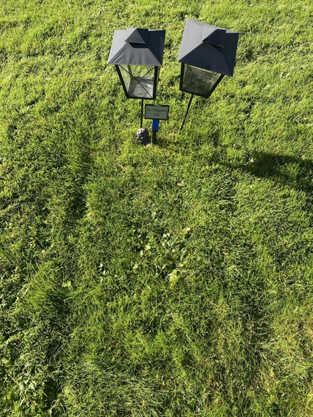 Grave number: 2 H   123