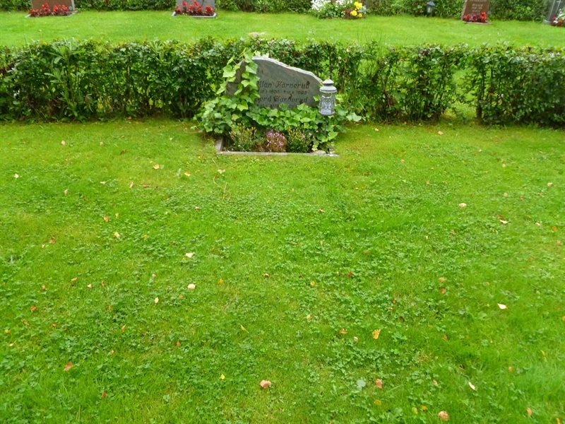 Grave number: ROG H  244, 245