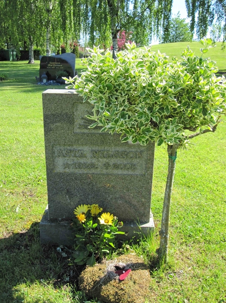 Grave number: NY P    14