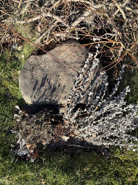 Hautatunnus: Ärt 96 38 3