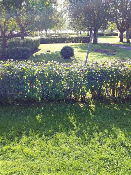 Grave number: NK F B    85