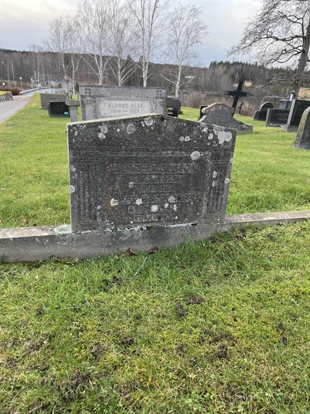 Hautatunnus: Vårv Kv1 92+93