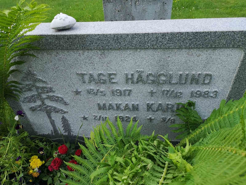 Gravnummer: NK 07     8