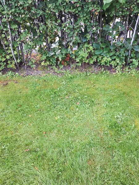 Grave number: NK F G    46