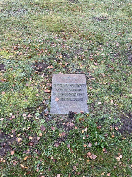 Grave number: VV 6   168, 169