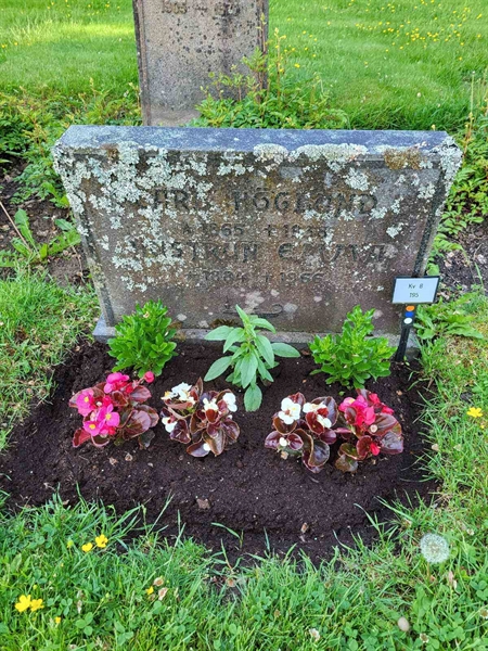 Grave number: kö 01 08   195