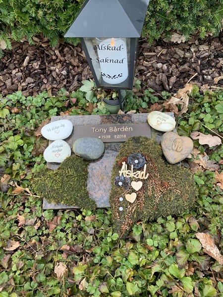 Grave number: ÄNG TALGO     7