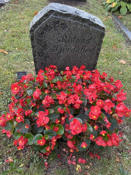 Grave number: Ö 06     6.F