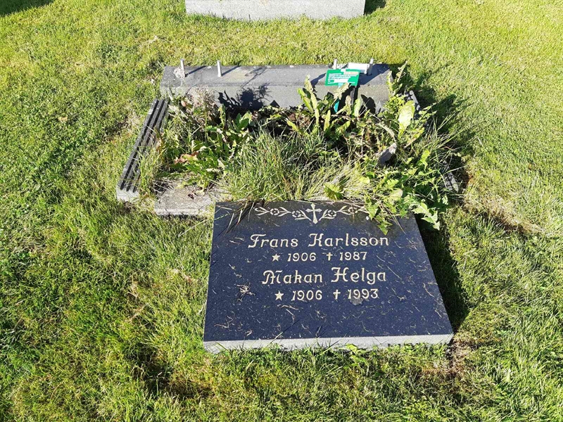 Hautatunnus: Fr 8   323-324