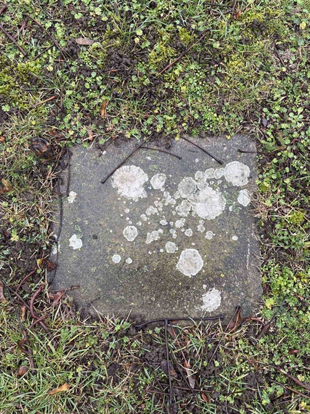 Hautatunnus: Ar C 18