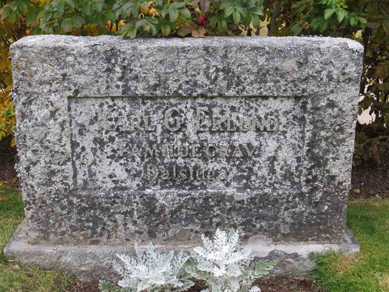 Gravnummer: 3 D    29