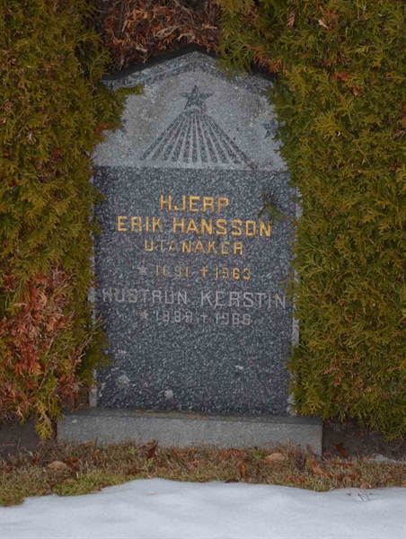 Gravnummer: 1 ÖL   207