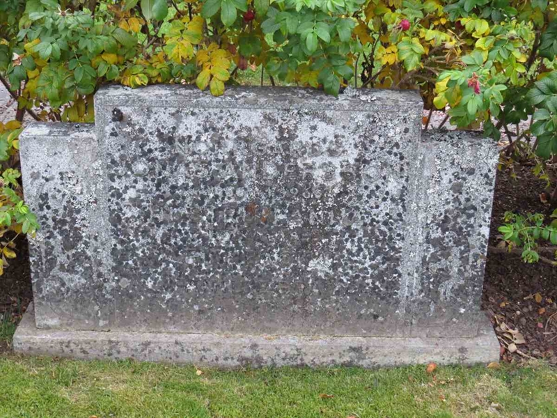 Gravnummer: 3 D    12