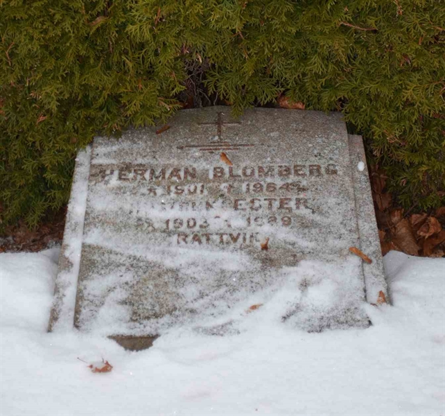 Gravnummer: 1 ÖL    51