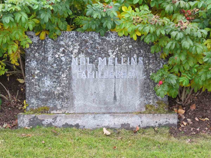 Gravnummer: 3 D     7