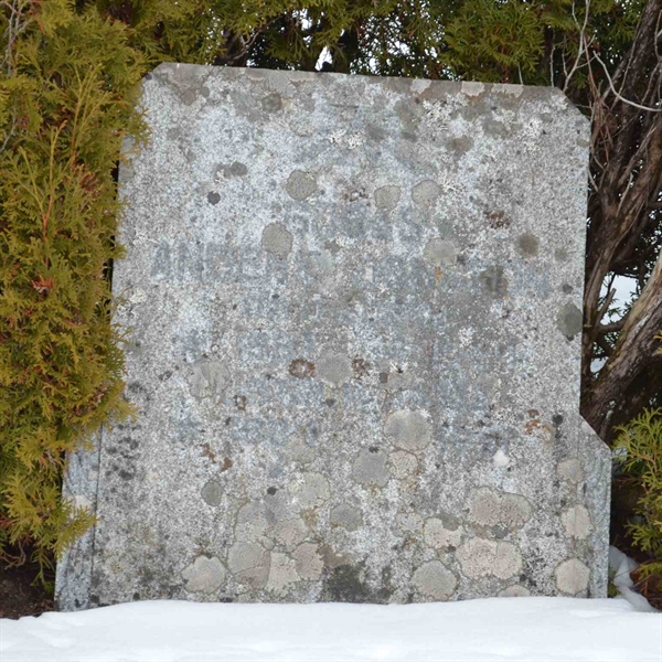 Gravnummer: 1 ÖC     7